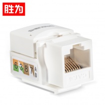 勝為 六類(lèi)非屏蔽網(wǎng)絡(luò)模塊8P8C CAT6 RJ45插座連接頭直通頭 SIM-601