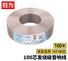 勝為發(fā)燒級(jí)音箱線 2*100芯音響線喇叭線音頻線 100米功放車載線 非屏蔽 AEC-1100